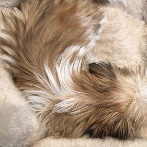 Meet your Posher, Lee